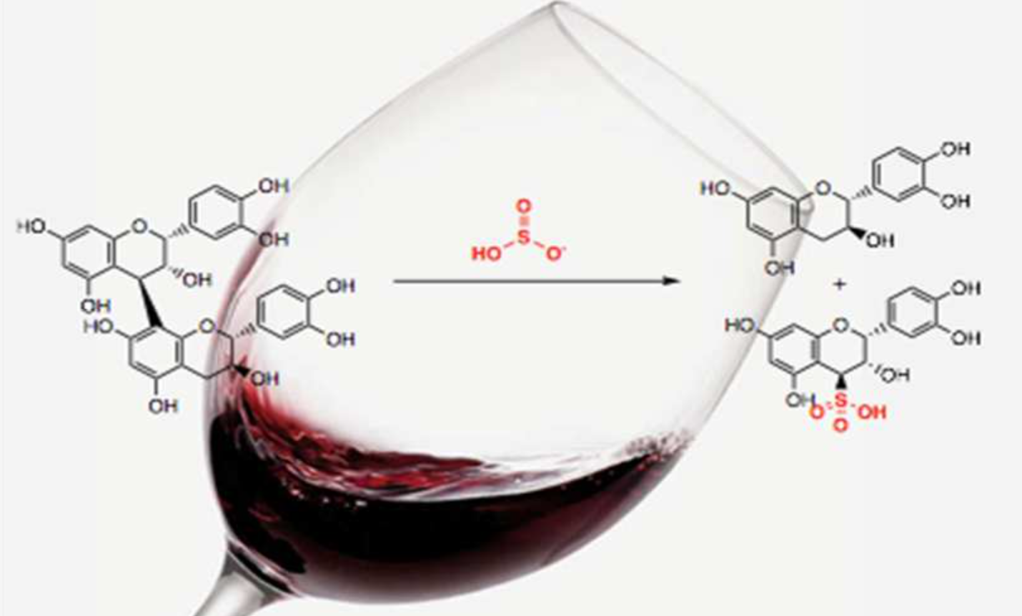 red wine chemistry experiment